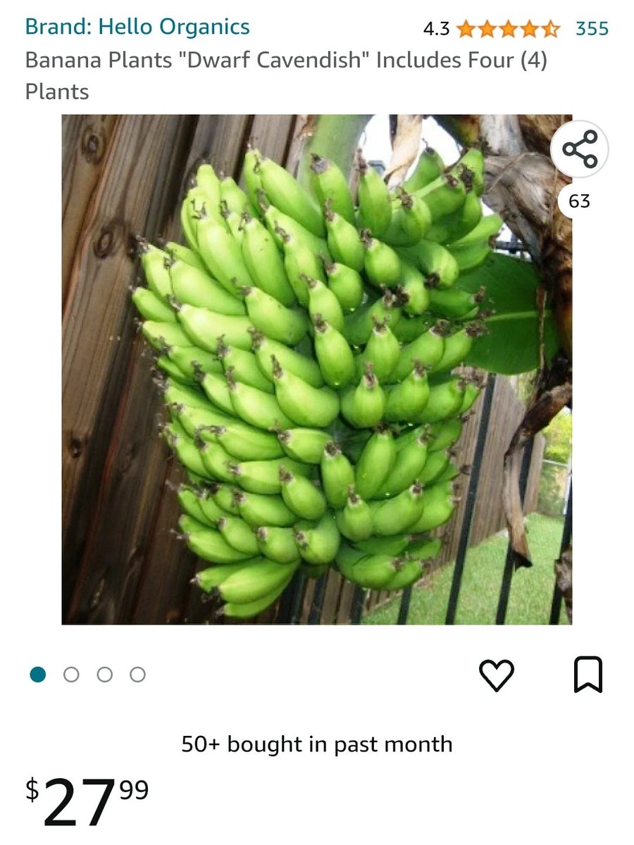 📕 on Twitter "You can just grow bananas if you want them that badly in