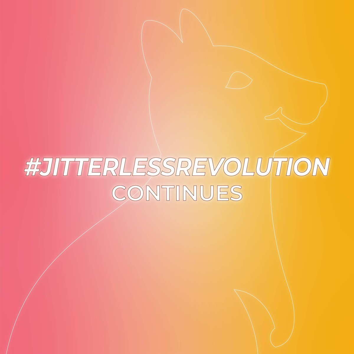 In 14 Days, we are SUPER EXCITED to reveal our latest product launch with you all 🙌🌟

Tap the link in bio to join the Quokka Early Access List (you def don’t wanna miss out on these perks 👀)

What do you think is coming? 🤔