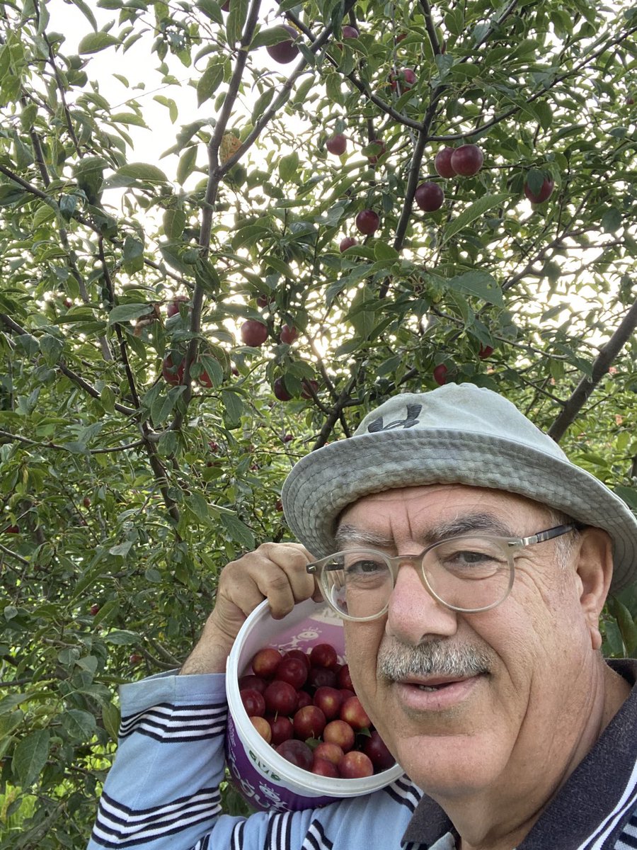 Günaydın
Erik zamanı.