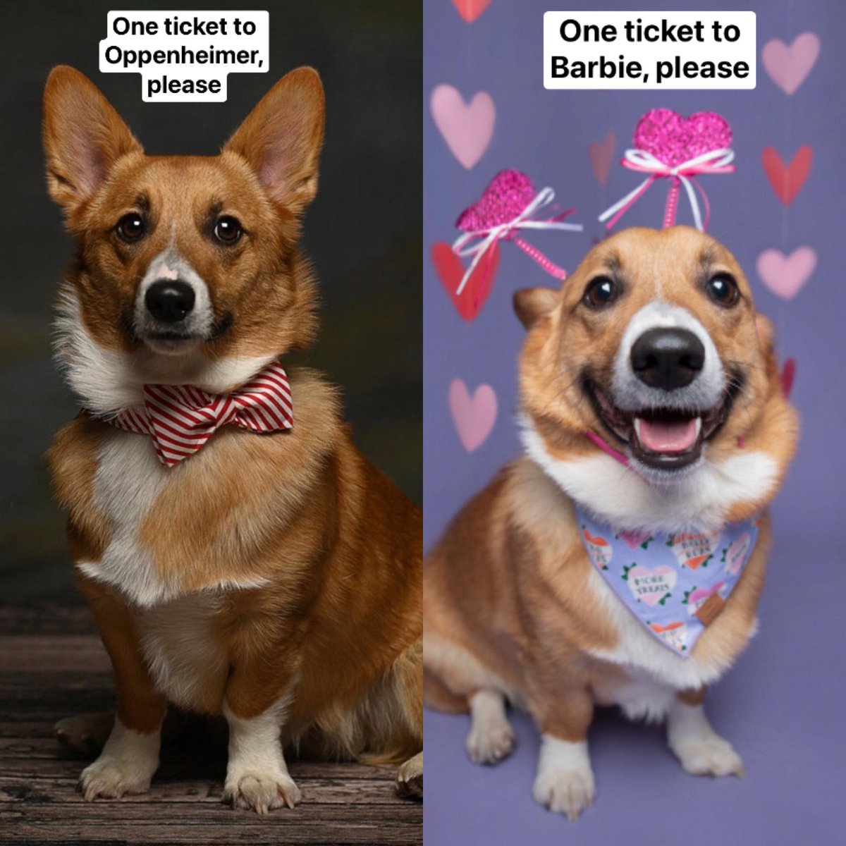 caitlinbronson's tweet image. Hamlet is ready!