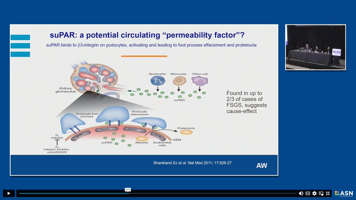 #suPAR was discussed at ASN board review course #NephBoard <a href="/JochenReiser/">Jochen Reiser MD PhD</a>