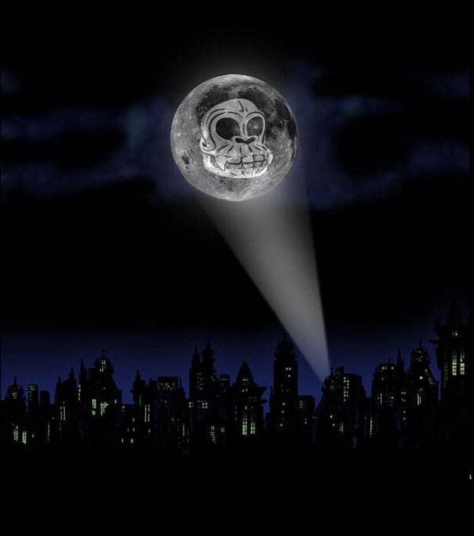 Jungle Bay Artists Collective tweet media