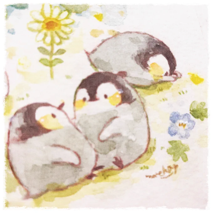 ソラコさん 素敵なタグありがとうございます  どうかふふっと癒されますように…! 透明水彩と色鉛筆を使います #癒やされる作品が集まるタグ