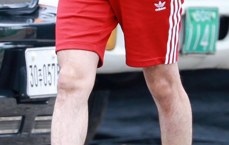 🐶 B 🦄🎆 tweet media