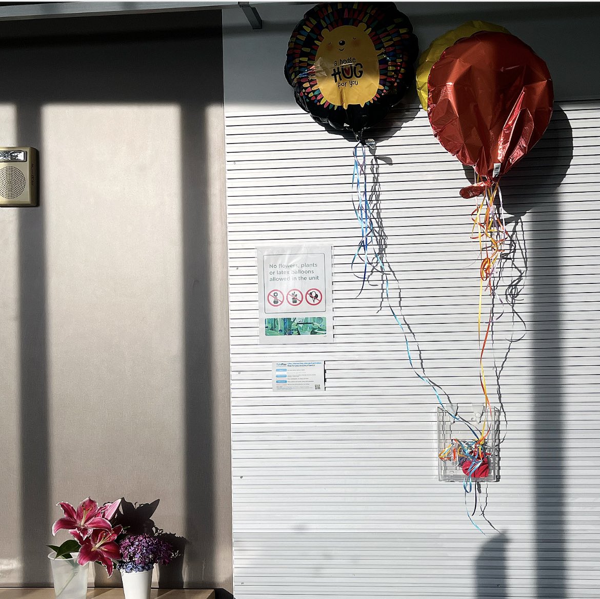 Becca Peter on Twitter "Balloons and flowers are prohibited on the