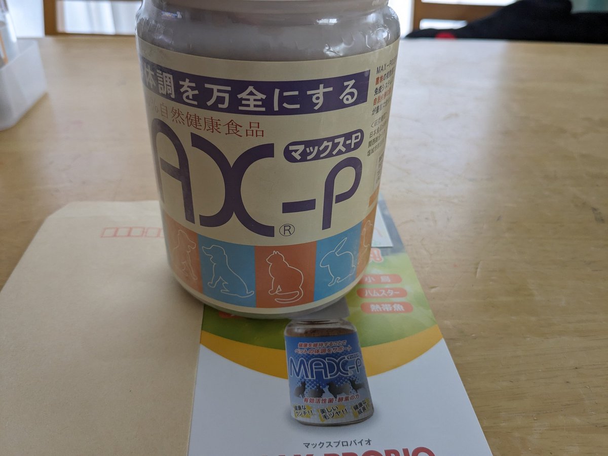 yosi95ms's tweet photo. パピヨン達の腸活サプリ、届きました。
この時期は、冷蔵で届きます。
#パピヨン
#maxp https://t.co/PBHQIYzQuW
