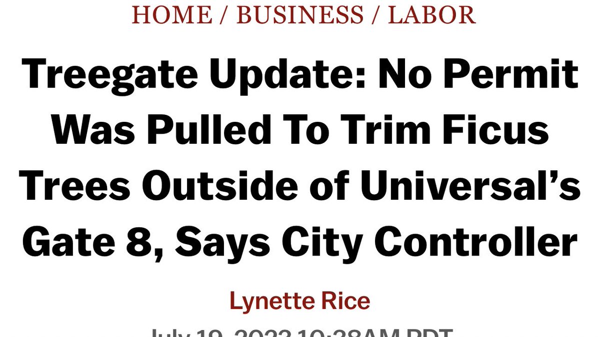 PplsCityCouncil's tweet image. tree law! tree law! tree law!