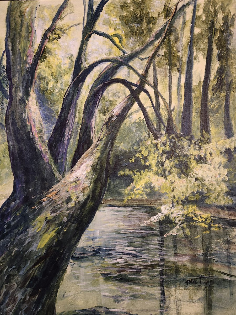 Peaceful Calm, 30x40 acrylic on canvas, artist Michael Trapp (Mike Trapp) facebook.com/1481381120/vid… Silver Falls State Park Oregon.  #miketrappart #trees #forest #landscapes #silverfallsstatpark #oregon #art