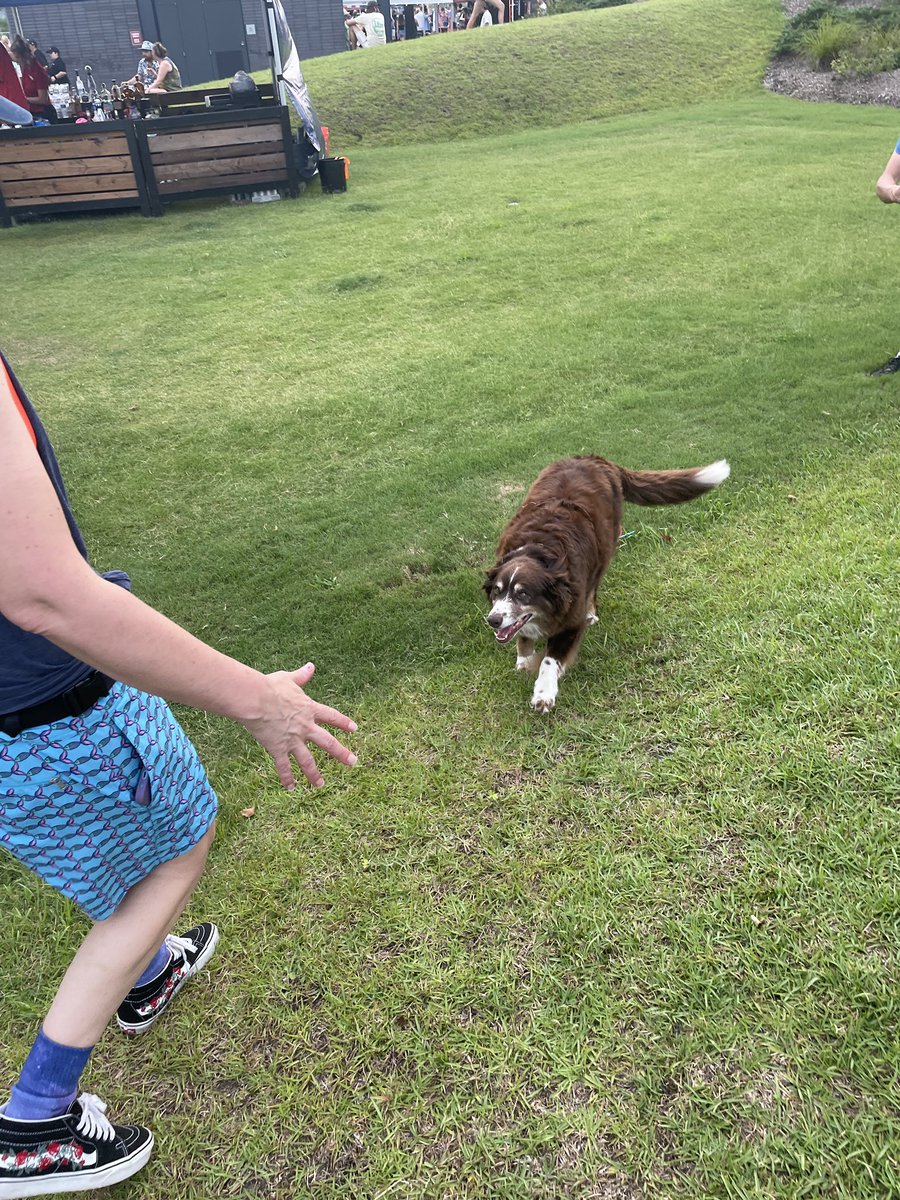 steve capone, jr. (he/they) | author tweet media