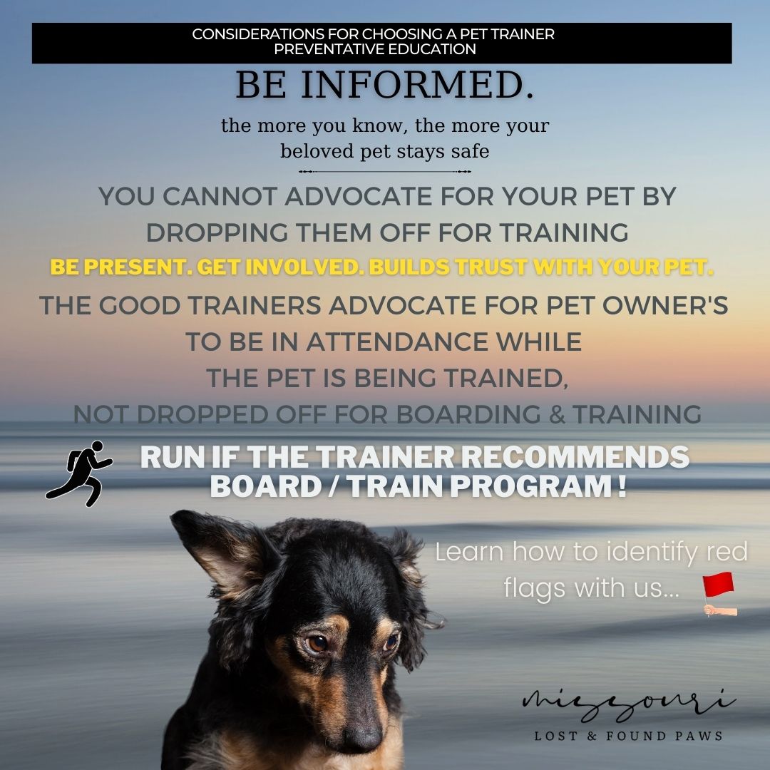 molostfoundpaws's tweet photo. Attention all pet parents: Sending your furry friend to a professional boarding and training facility is not always the best way to go. 

 #ProsAndCons #Wellbeing #ChooseWisely https://t.co/eKV2AaBLps