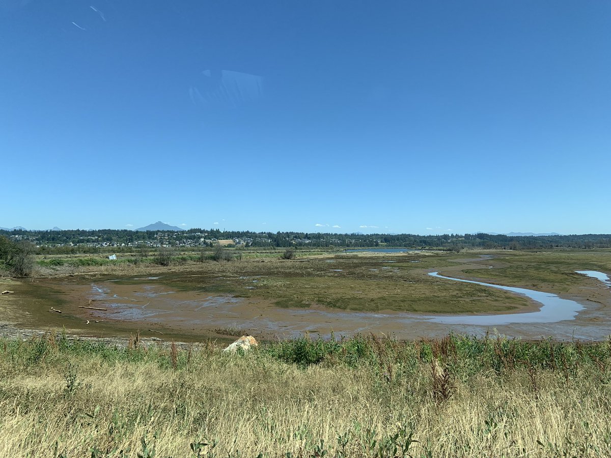 Got to tour the <a href="/PortofEverett/">Port of Everett</a> today to learn more about their many exciting projects and all the new development. Lots of folks enjoying the waterfront today. It was great to see the Blue Heron Slough restoration site’s progress, growth, and all the wildlife there! ☀️