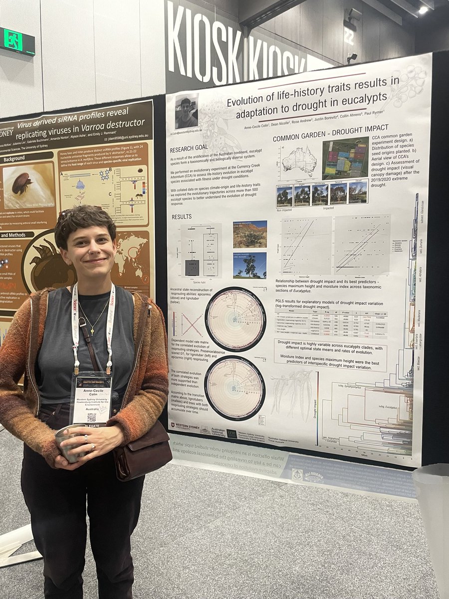 Really enjoyed talking eucalypt drought adaptation with <a href="/AnneCecileCln/">Anne-Cécile Colin</a> at #IGC2023 this week - thanks for sending me to poster 13 <a href="/DNAprymer/">Dr Paul Rymer</a>!