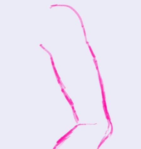 Lysander_Fox's tweet photo. i've finally learned how to draw muscles ARE YOU GUYS PROUD OF MEEEEE https://t.co/4KE0I7qU98
