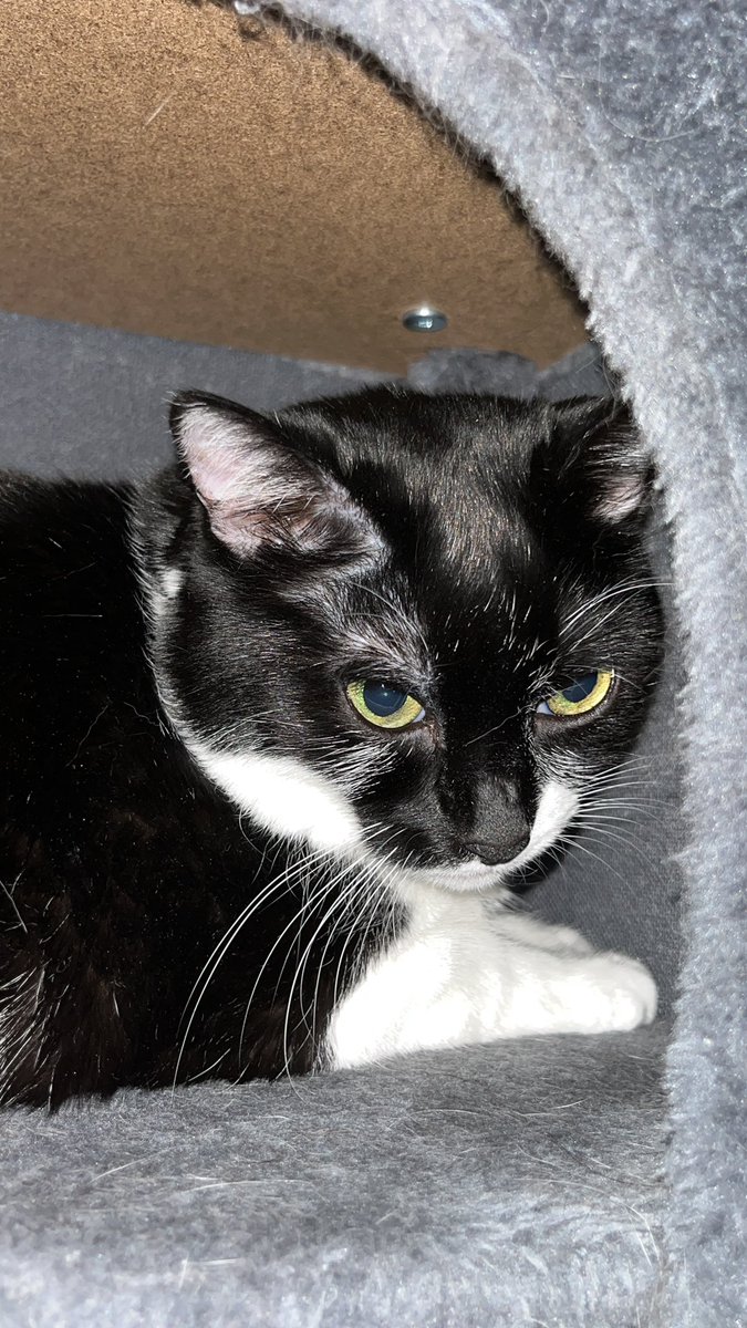 Le plus dramatique c’est que si je ne dors pas, elles non plus ☠️😂