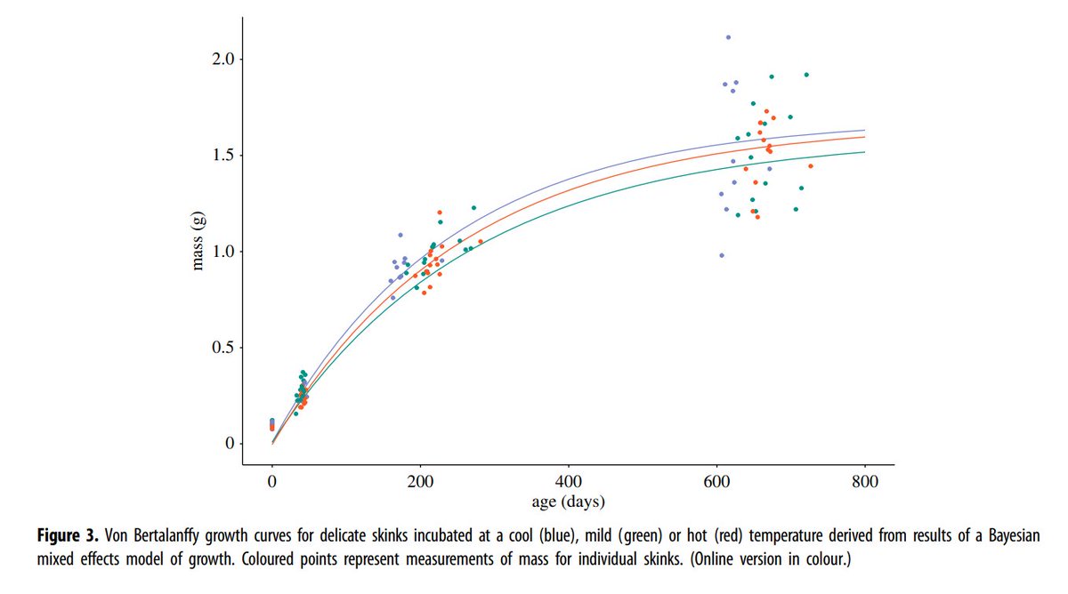 Does variation in nest temperature have long-term effects on the phenotypes of ectotherms? Madeleine de Jong and colleagues found, yes it does, using a model lizard species, the delicate skink, Lampropholis delicata. royalsocietypublishing.org/doi/pdf/10.109… @Craig_R_White <a href="/BBM_Wong/">Bob Wong (@bbmwong.bsky.social)</a> <a href="/lesley_alton/">Lesley Alton</a>