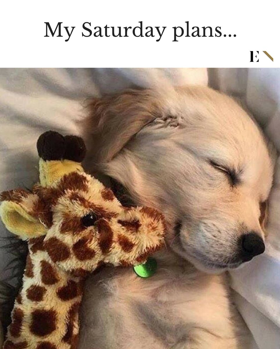 WholesomeMeme's tweet photo. https://t.co/t5qsTreDmS
