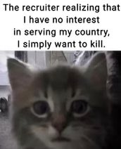 chaoticcatpics's tweet photo. https://t.co/f4ymDPwHKq