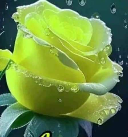 alaa amy (@alaayous3) on Twitter photo #loyal #AMY๐
ฐ๏ธ
<a href="/Alaayous3/">alaa amy</a>
@HrazaOm
<a href="/ivymarina1/">.</a>
@MrAlharbi13
<a href="/Gigi46830095/">ุง. i1iitุงูุฎุงุต ู
ู
ููุนGiGi</a>
@EEman795
<a href="/yd2122772/">ุงูุฏูุชูุฑู ุฃุณู
ุงุก ๐.</a>
<a href="/_1j1i/">๐ฅ๐ฅเผบmฬฏอกaฬฏอกrฬฏอกwฬฏอกaฬฏอก hฬฏอกaฬฏอกzฬฏอกeฬฏอกmฬฏอกเผป</a>
@rf__sb
<a href="/_iioioi/">The Crypto Butler</a>
@kiiiiser
<a href="/aml7117/">^ ุบูู
ุฉ ^ ุฏุนูู
โกใ1Mใ</a>
<a href="/tawiq219/">ุทููู</a>
<a href="/sm5gp/">ุฃุจู ุนุจุฏุงููู</a>
<a href="/JTo88594/">๐จ๐ณ๐บ๐ถ๐ฉ๐น ๐จ๐บ๐ป๐จ๐น</a>
<a href="/ElhadyNibal/">Archduchess Dr. Nini</a>
<a href="/mvang77/">Meng</a>
<a href="/goldisez/">Goldi ๐บ</a>
<a href="/AlAhly/">โุงููุงุฏู ุงูุฃููู</a>
<a href="/IzabelleCova/">๐บ Iza ๐ฆ</a>
<a href="/GinaJardines/">Cleopatra</a>
<a href="/RaisaGirbu/">Raisa</a>
<a href="/Tomoko0333/">TOMOKO๐ฅ| MIRAIE๐ฅ| SONIA๐ฅ|</a>
<a href="/teck_vicky41852/">Vicky teck</a> #loyal #AMY๐
ฐ๏ธ
<a href="/Alaayous3/">alaa amy</a>
@HrazaOm
<a href="/ivymarina1/">.</a>
@MrAlharbi13
<a href="/Gigi46830095/">ุง. i1iitุงูุฎุงุต ู
ู
ููุนGiGi</a>
@EEman795
<a href="/yd2122772/">ุงูุฏูุชูุฑู ุฃุณู
ุงุก ๐.</a>
<a href="/_1j1i/">๐ฅ๐ฅเผบmฬฏอกaฬฏอกrฬฏอกwฬฏอกaฬฏอก hฬฏอกaฬฏอกzฬฏอกeฬฏอกmฬฏอกเผป</a>
@rf__sb
<a href="/_iioioi/">The Crypto Butler</a>
@kiiiiser
<a href="/aml7117/">^ ุบูู
ุฉ ^ ุฏุนูู
โกใ1Mใ</a>
<a href="/tawiq219/">ุทููู</a>
<a href="/sm5gp/">ุฃุจู ุนุจุฏุงููู</a>
<a href="/JTo88594/">๐จ๐ณ๐บ๐ถ๐ฉ๐น ๐จ๐บ๐ป๐จ๐น</a>
<a href="/ElhadyNibal/">Archduchess Dr. Nini</a>
<a href="/mvang77/">Meng</a>
<a href="/goldisez/">Goldi ๐บ</a>
<a href="/AlAhly/">โุงููุงุฏู ุงูุฃููู</a>
<a href="/IzabelleCova/">๐บ Iza ๐ฆ</a>
<a href="/GinaJardines/">Cleopatra</a>
<a href="/RaisaGirbu/">Raisa</a>
<a href="/Tomoko0333/">TOMOKO๐ฅ| MIRAIE๐ฅ| SONIA๐ฅ|</a>
<a href="/teck_vicky41852/">Vicky teck</a>