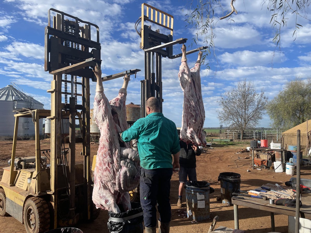 h.cudmore tweet media