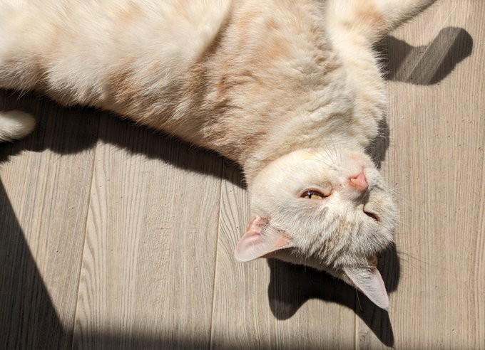 ほっともっと中 