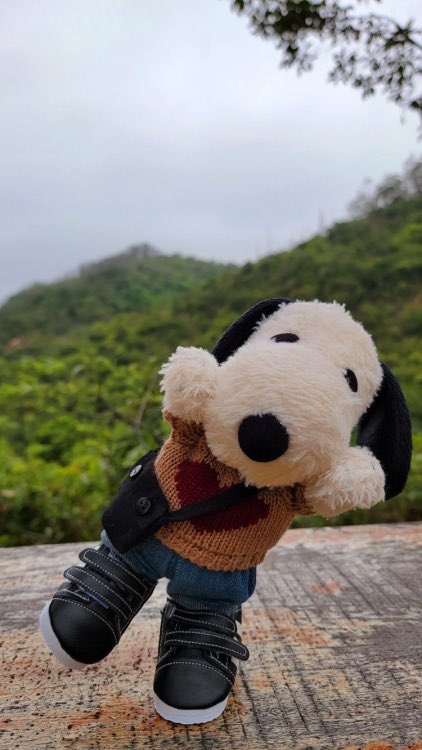 whotfisjovana's tweet photo. guys im so obsessed w this person on pinterest who does photoshoots w their snoopy plushie it’s so good https://t.co/pqWw2149WP