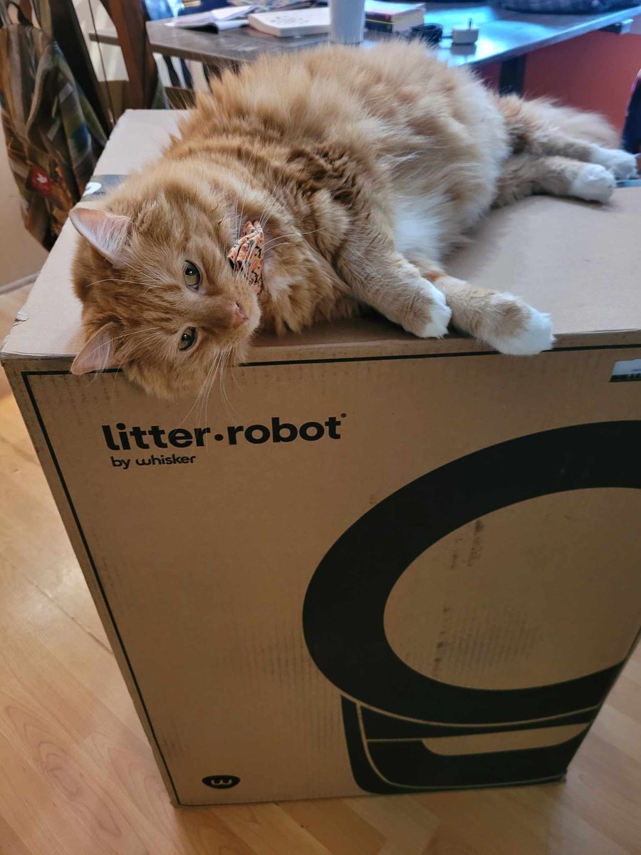 Someone is quite happy to see her new @Litter_Robot arrive today!