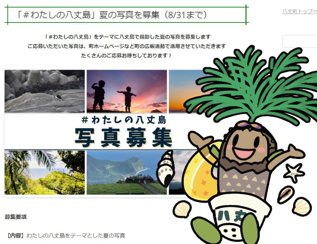 ✨️八丈島の椰子✨️ゆうパック着払い発送✨️ ヨーイ! 夏を満喫できているかな。その夏を教えてほしい! 「わたしの