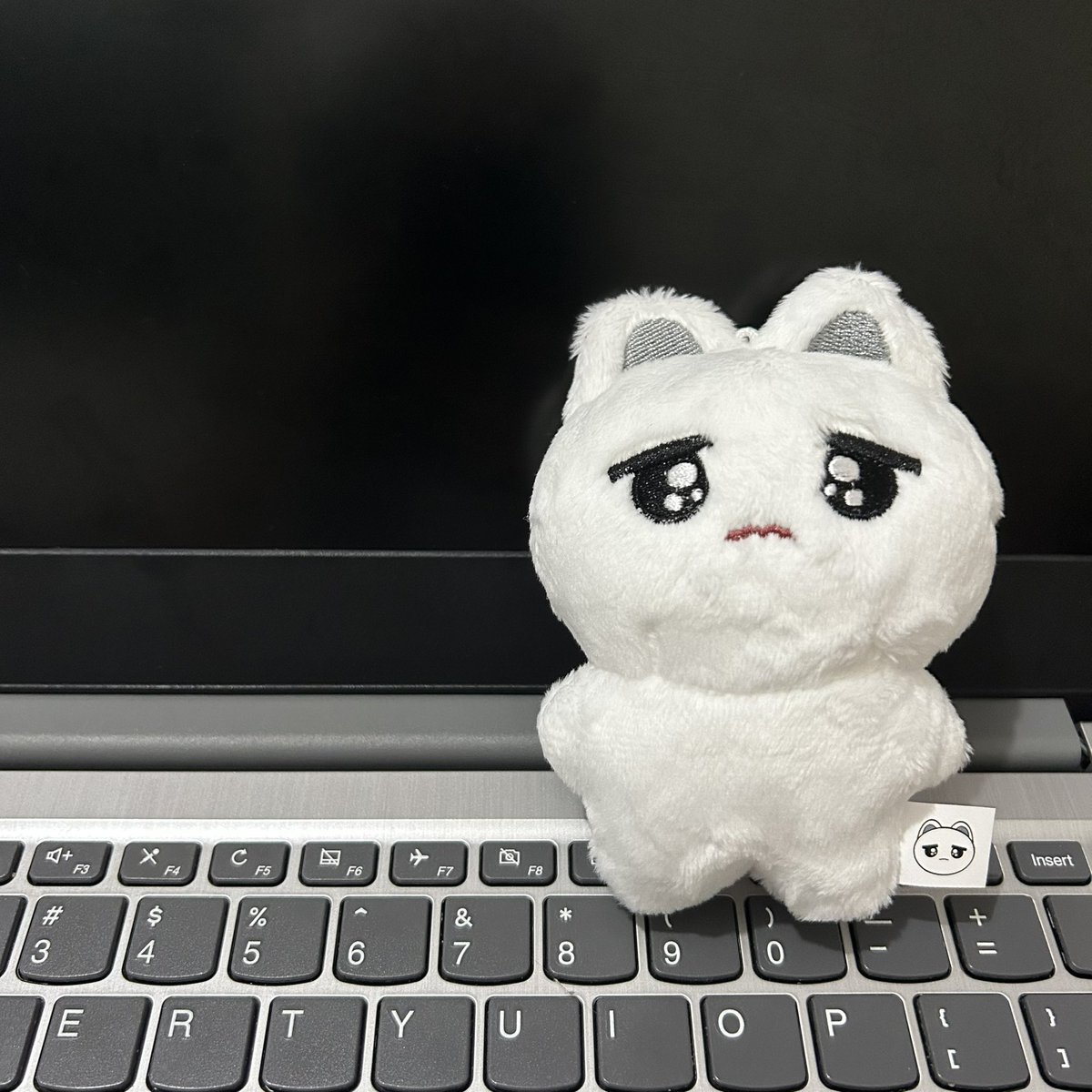 cafetywwhui's tweet photo. just got home from my work trip 🥺 piled up deliveries here but my @bokktyong is finally home 🫶🏼 aaaaa will arrange stuff by lunch time 🤍 thank u so much! https://t.co/V2b9RzHq3b