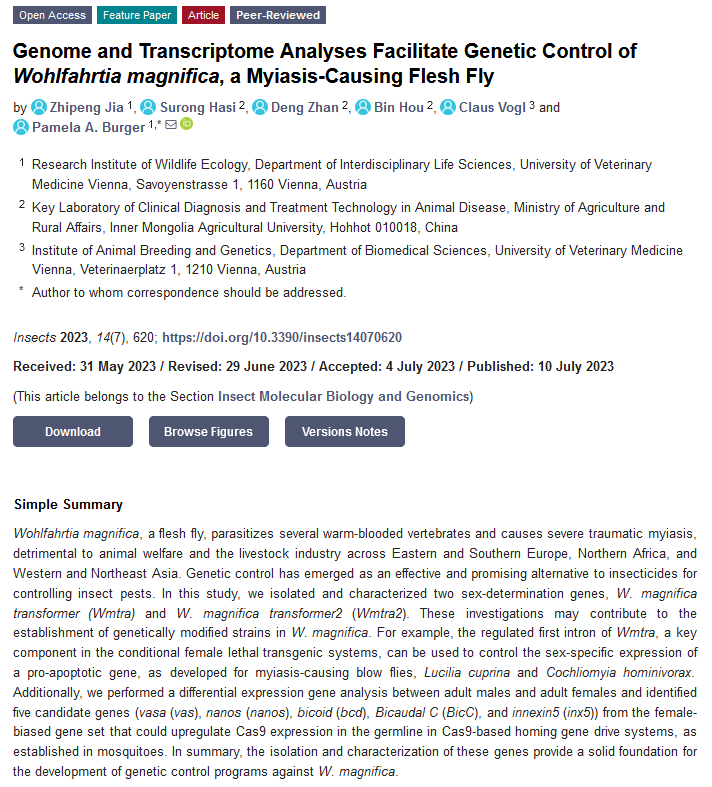 Insects_MDPI's tweet photo. #insects Paper Published  
📚#Genome and #Transcriptome Analyses Facilitate Genetic Control of Wohlfahrtia magnifica, a Myiasis-Causing Flesh #Fly

By Zhipeng Jia et al.

📷https://t.co/9W236VtRn9
#Wohlfahrtiamagnifica #fleshfly #geneticcontrol #Diptera https://t.co/6CN9NEZNyJ