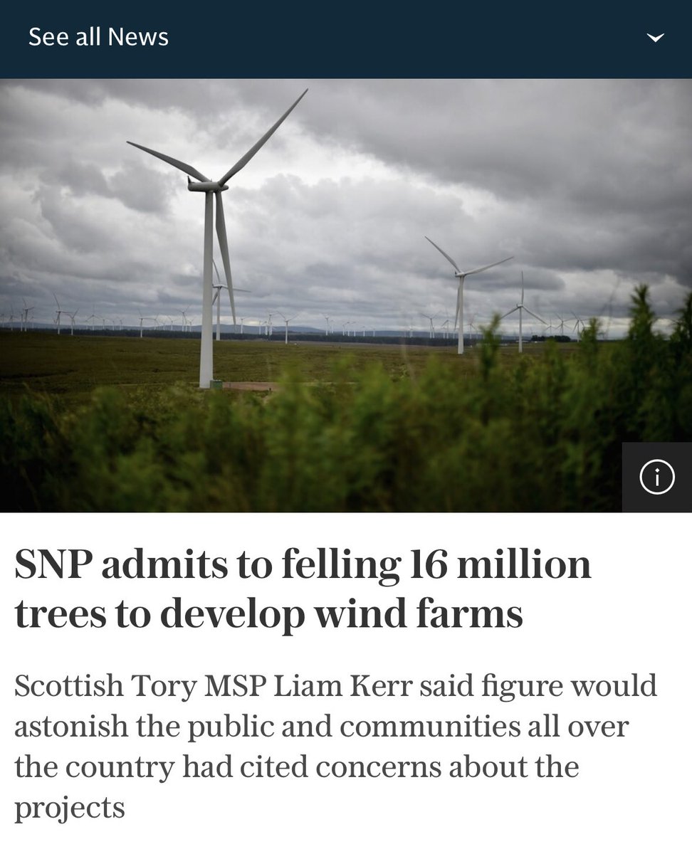 Cutting off 16 million trees for “clean” energy