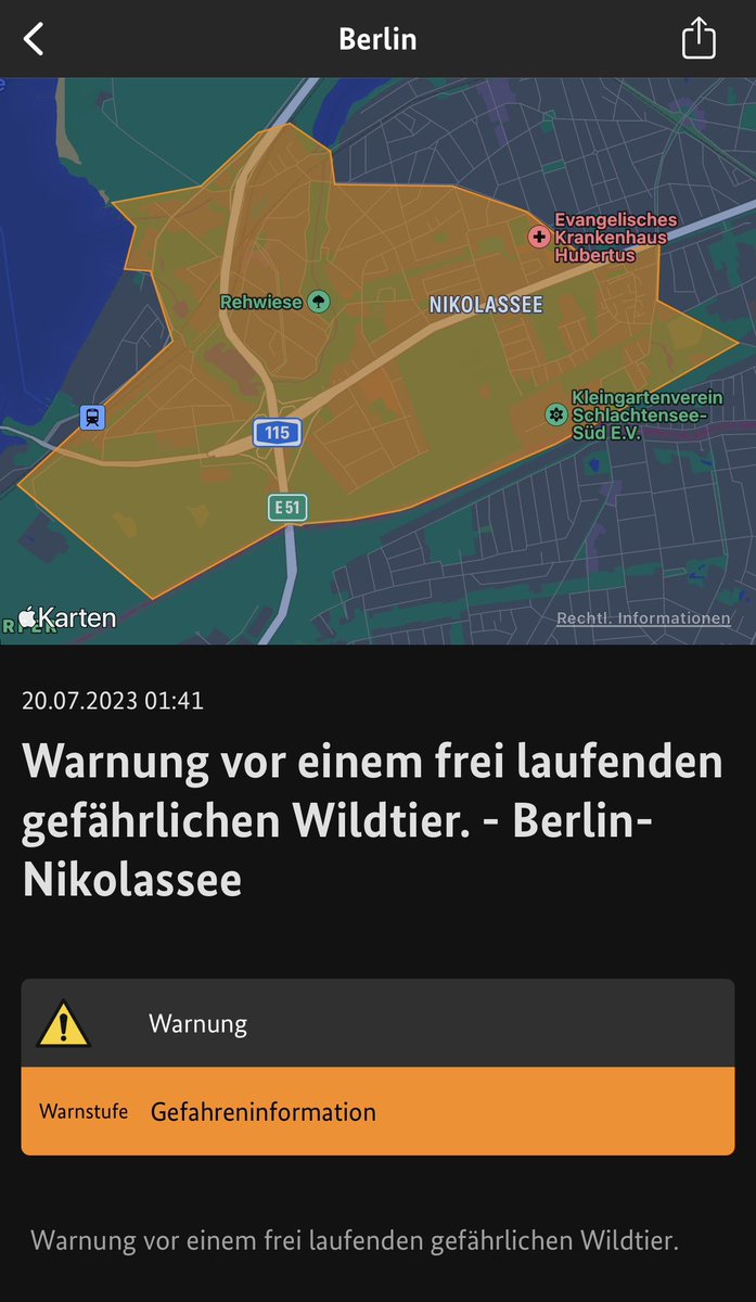 Nacht Floh tweet media