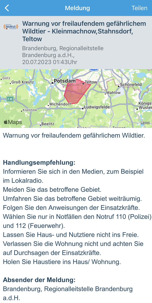 Nacht Floh tweet media