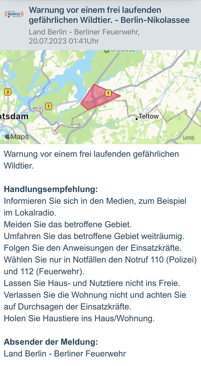 Nacht Floh tweet media