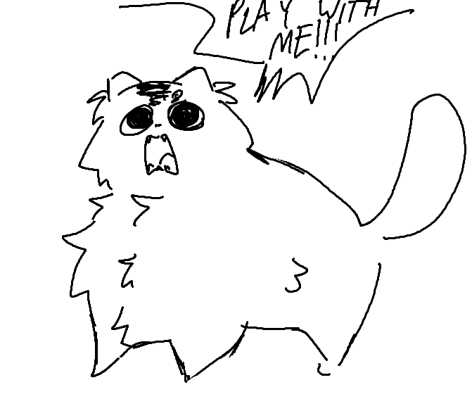 adjusting to living with a cat has been interesting