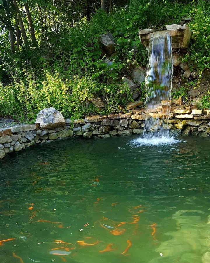 AW_SanDiego's tweet photo. Can a waterfall effectively aerate a koi pond? Find out all the answers to your koi pond questions from the experts at Aquatic Warehouse: https://t.co/GujdBn2LzP

.
#koi #koipond #waterfall #Pond #backyard #backyardpond #fish #pondfish #aquaticwarehouse #sandiego https://t.co/fIyk2AR3to