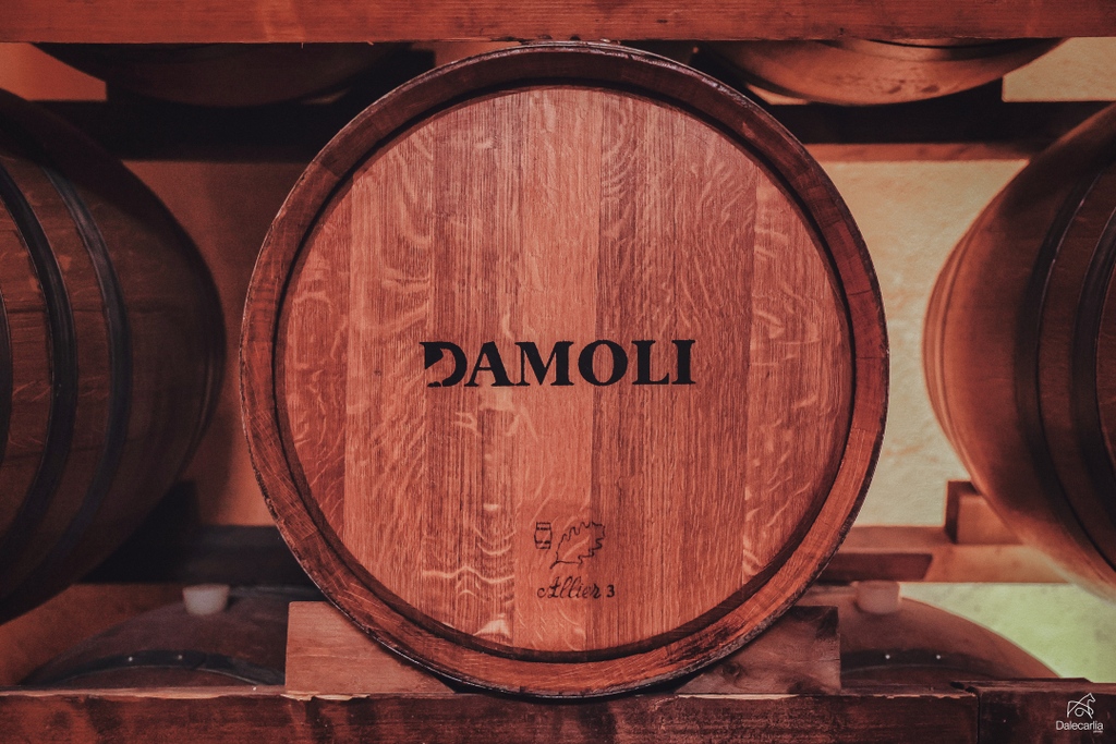 sjuab's tweet photo. We ended up leaving with some incredible wines and memories that will last a lifetime. I highly recommend these wineries to anyone looking for a great wine journey. ✨⁠
⁠
#winery #valpolicella #italy #summer2023 #roadtrip #wine #ripasso #amarone #DamoliVini

@BrunelliWines https://t.co/pnVRo6gznG