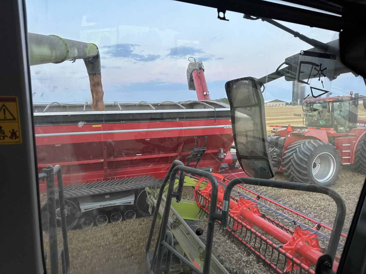 What great few days at wheat harvest! Amazing yields and still great quality! <a href="/ChrisStover6/">Chris Stover</a> <a href="/Skippyltd/">Darryl Schipper</a>
