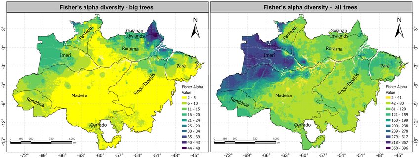 EGorgens's tweet photo. Fisher's alpha-diversity distribution for large trees (dbh ≥ 70 cm) and diversity distribution considering all trees (dbh ≥ 10 cm). Interesting differences, don't? What do you see through the map? https://t.co/xnmlZxKh1C https://t.co/ipBgBIDu0U