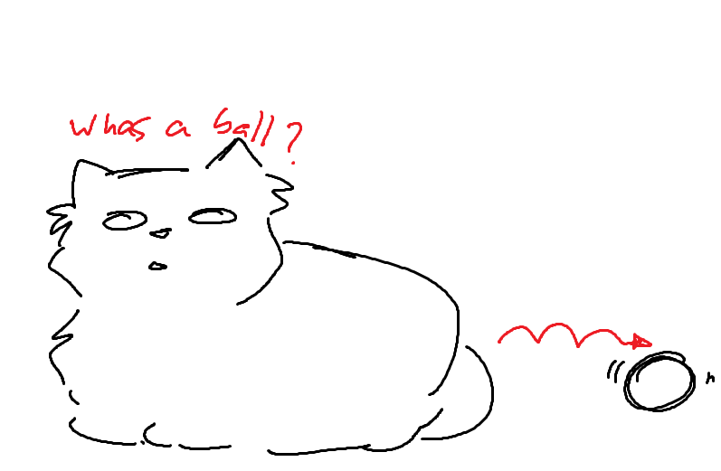 the cat has started to enact violence on me for sitting at my desk because it means I'm not looking at him 