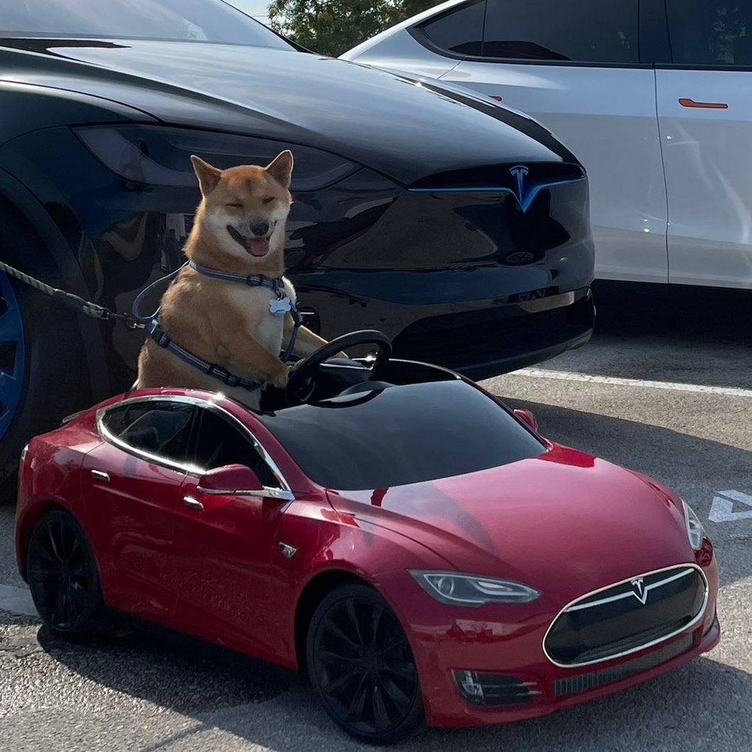 NEWS: Tesla didn't sell any #Bitcoin during Q2, per financial results posted today

Its balance sheet showed no change in net digital assets compared to last quarter, suggesting that it's still holding its #Dogecoin too

The company last sold $1B of Bitcoin during Q2 2022