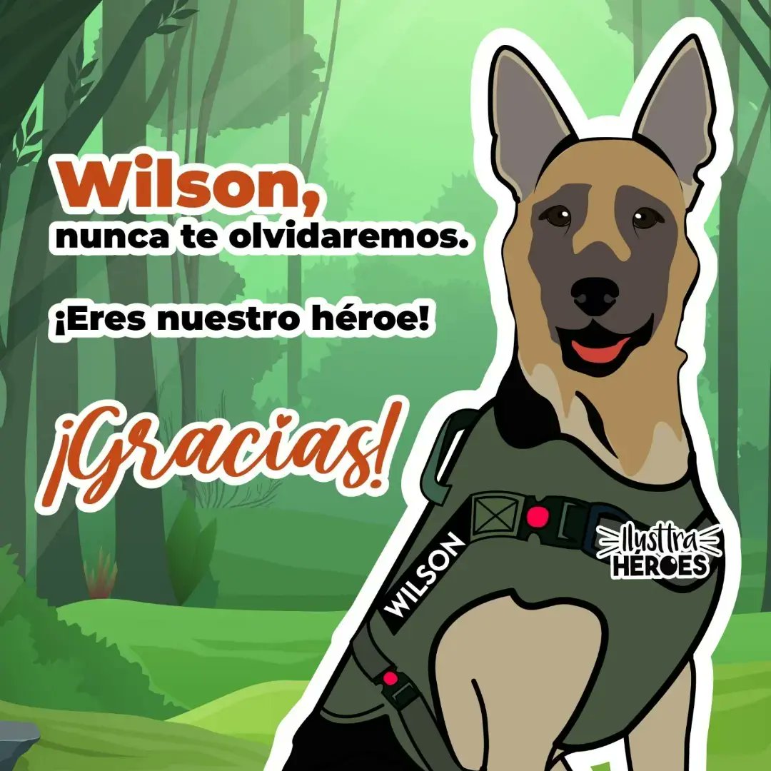 asodaam's tweet photo. Acompáñanos! 🩷💚🐶 
#wilson #nuncateolvidaremos #eresnuestroheroe https://t.co/WeNIzzHpCO