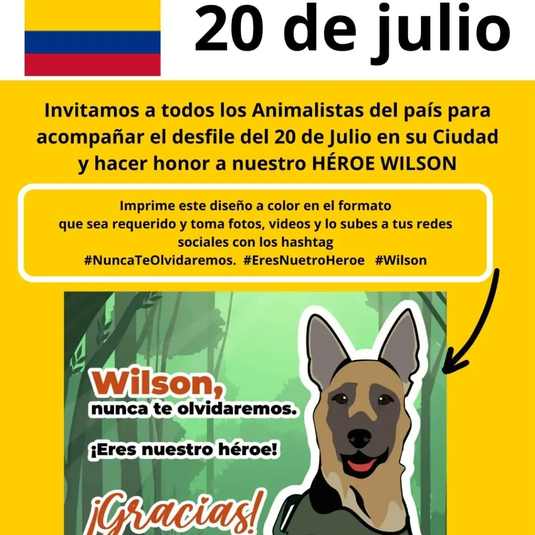 asodaam's tweet photo. Acompáñanos! 🩷💚🐶 
#wilson #nuncateolvidaremos #eresnuestroheroe https://t.co/WeNIzzHpCO