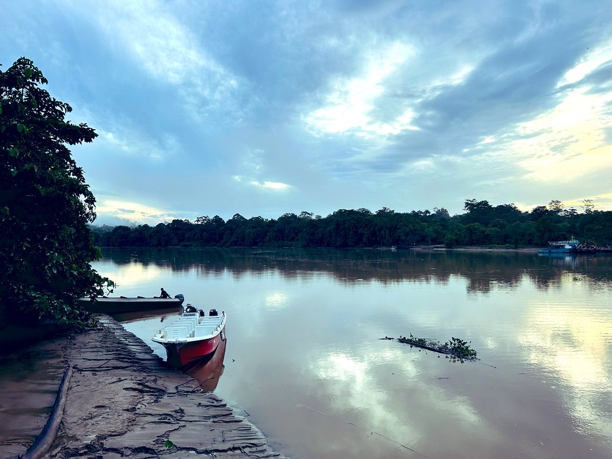 Amazing Kinabatangan river cruises. So many animals seen in the wild: proboscis and macaque monkeys, crocodiles,
monitor lizards, civet cats, snakes and many, many birds. A fitting start to Bella’s 18th birthday celebrations! #LEHSchool #Borneo #Lovebiology #5amwakeup