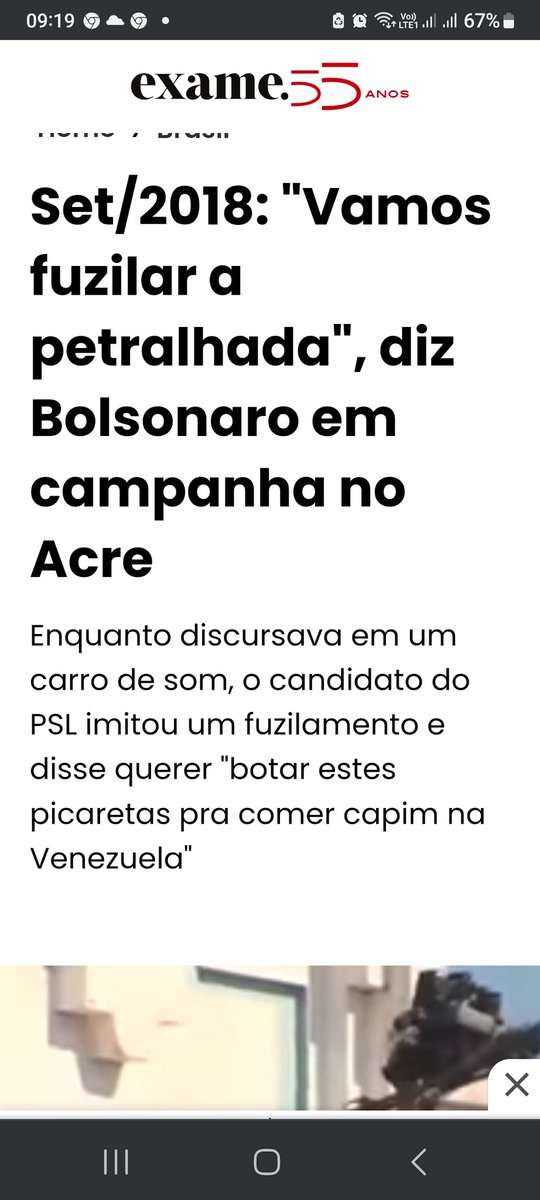 Evangeline 🇧🇷💯🚩 tweet media