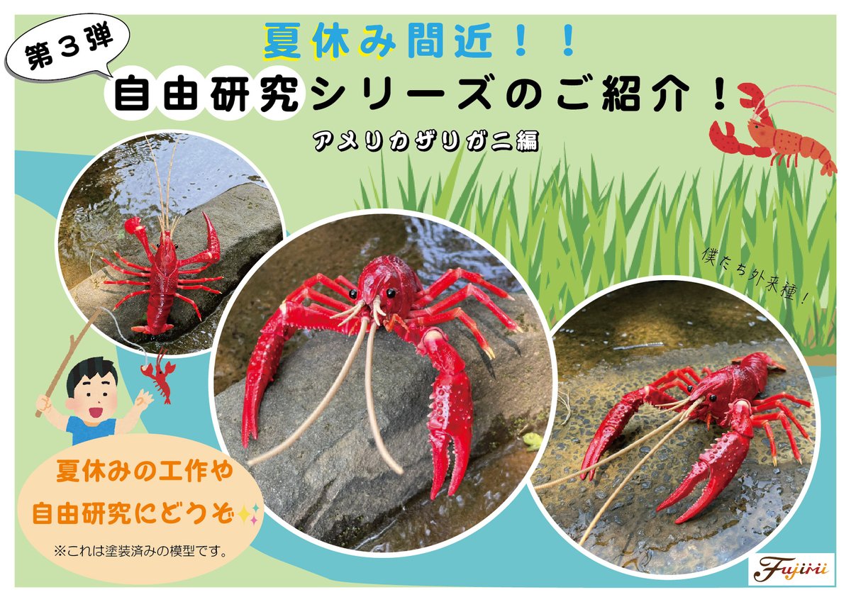 夏休みの自由研究にピッタリ🔆 塗装不要・接着剤不要のかんたん組立