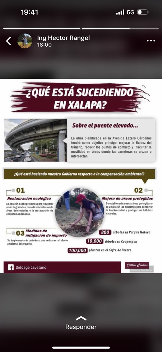 No necesitamos más árboles en el parque natura, necesitamos que respeten las áreas verdes urbanas  y que se generen planes de movilidad urbana sostenibles