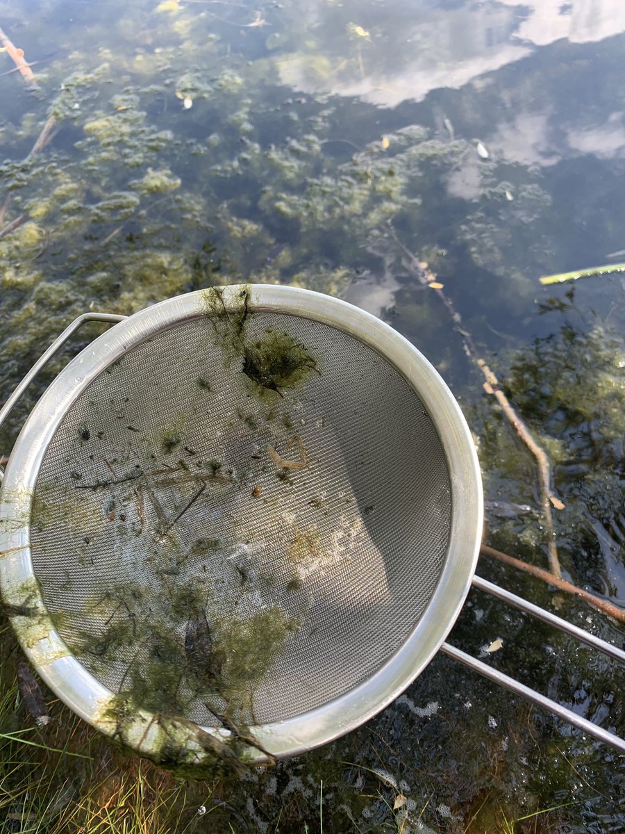 Alberta CWRA SYP tweet media