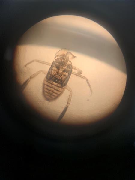 Alberta CWRA SYP tweet media