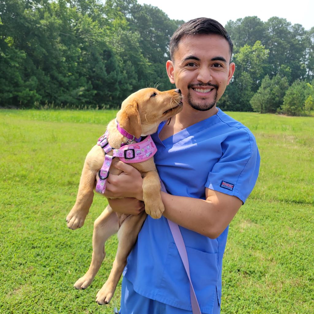 EffenHowie 🐧 tweet media