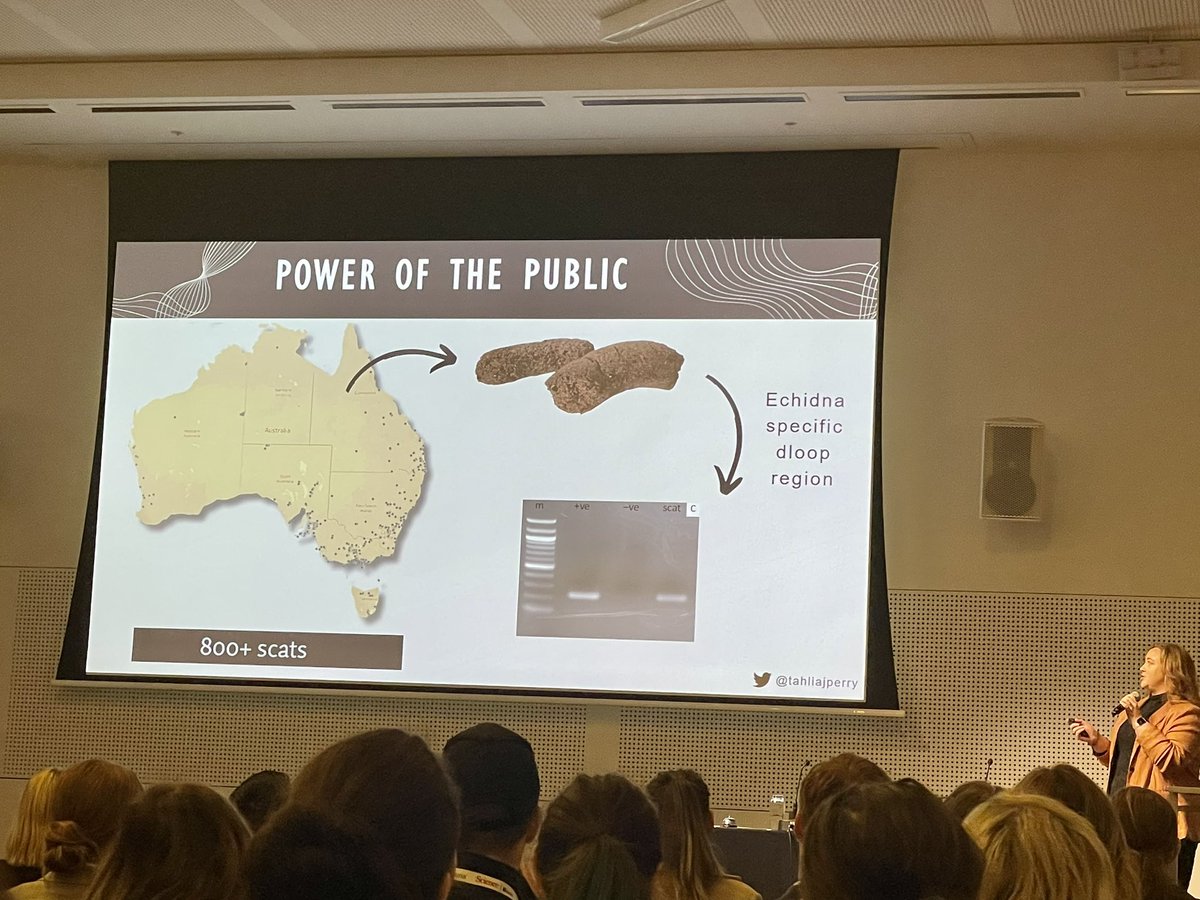 Anna MacDonald (@dr_annam) on Twitter photo To complete the environmental DNA session, <a href="/tahliajperry/">Tahlia Perry</a> on <a href="/echidna_csi/">EchidnaCSI</a> and the power of the public (and the power of 💩) to understand echidna populations, diets, and gut microbiomes. Did you know that echidnas don’t just eat ants and termites? They also eat plants! #ICG2023 To complete the environmental DNA session, <a href="/tahliajperry/">Tahlia Perry</a> on <a href="/echidna_csi/">EchidnaCSI</a> and the power of the public (and the power of 💩) to understand echidna populations, diets, and gut microbiomes. Did you know that echidnas don’t just eat ants and termites? They also eat plants! #ICG2023